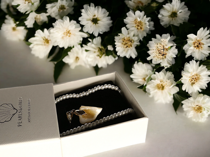 rs=w_900,h_900,cg_true – 2024-11-27T220715.573